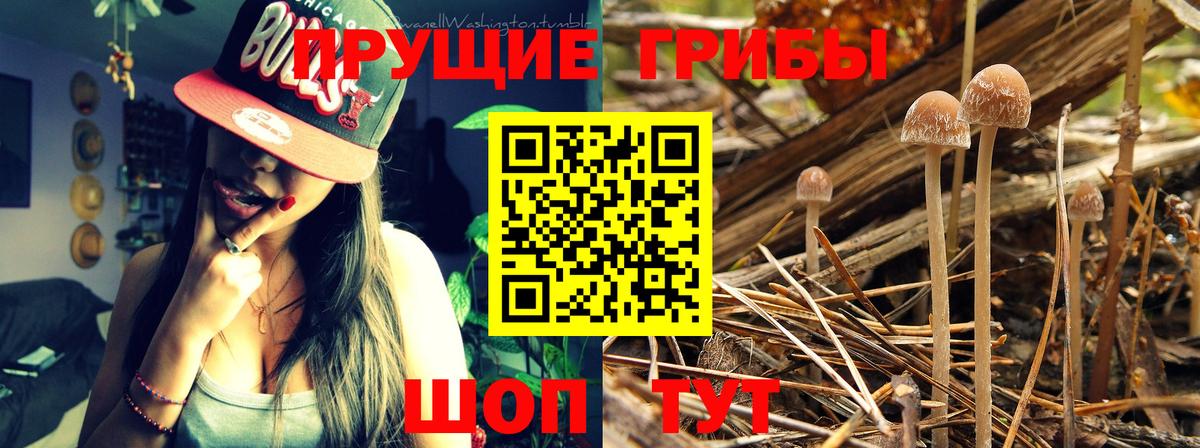Галлюциногенные грибы MAGIC MUSHROOMS Назарово